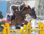 Vizzini Quinta Roo TosTour2013- S5 2568 : Arezzo, Arezzo Equestrian Centre, Quinta Roo, Toscana Tour 2013, Vizzini Lucia, foto di Stefano Secchi ©